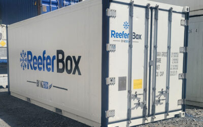 Shipping Container Maintenance and Care
